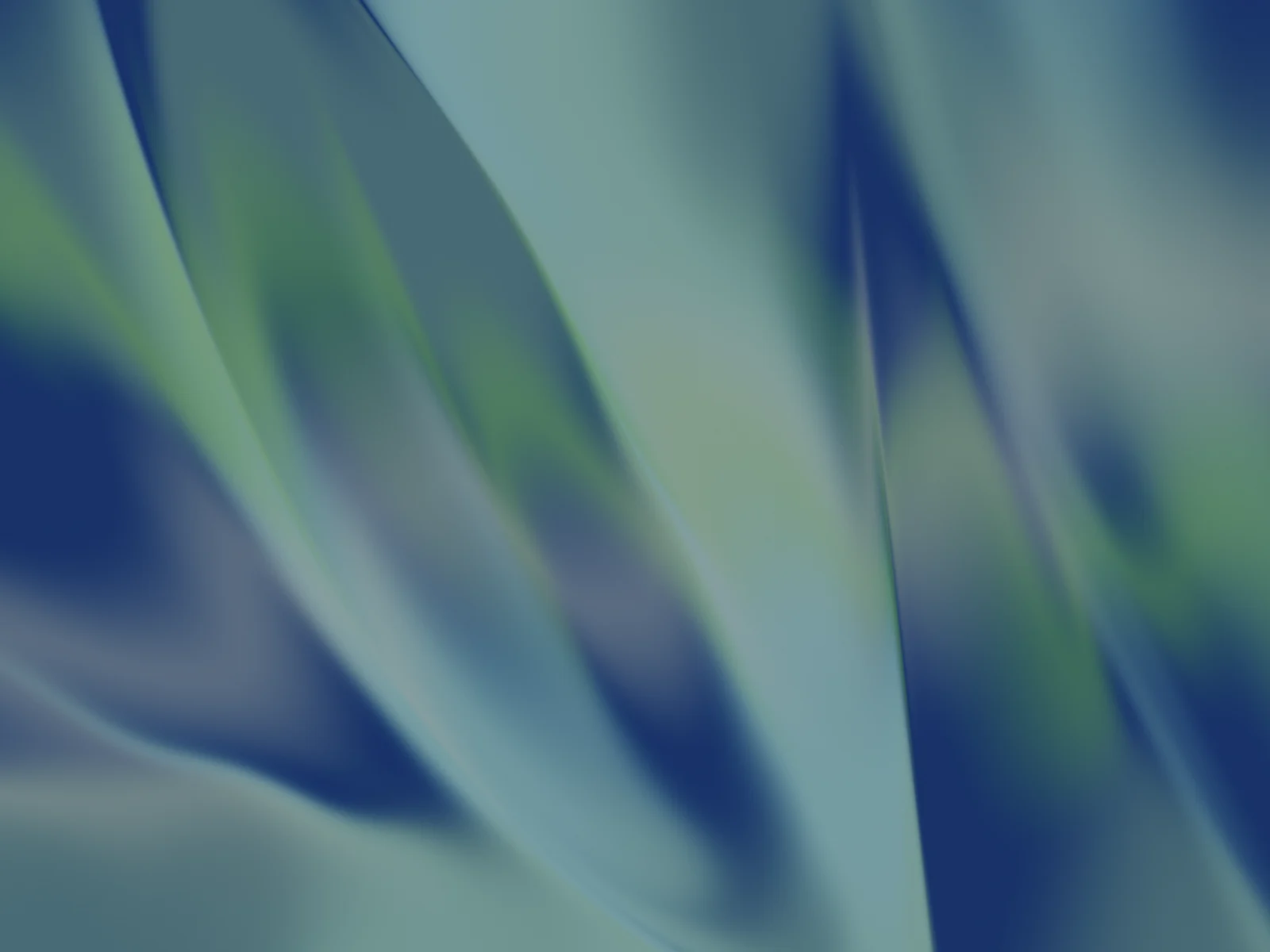 Cool Bloom preview